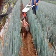 小型拖拉机开沟器 大葱种植培土机械厂家批发